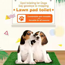 Washable Odor-Control Dog Potty Training Mat