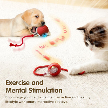 New Cat Interactive Ball Toy Automatic Rolling Ball Faux Tail Rechargeable Smart Pet Electric Toy Dog Cat Training Imitate Mouse