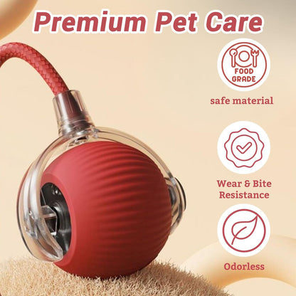New Cat Interactive Ball Toy Automatic Rolling Ball Faux Tail Rechargeable Smart Pet Electric Toy Dog Cat Training Imitate Mouse